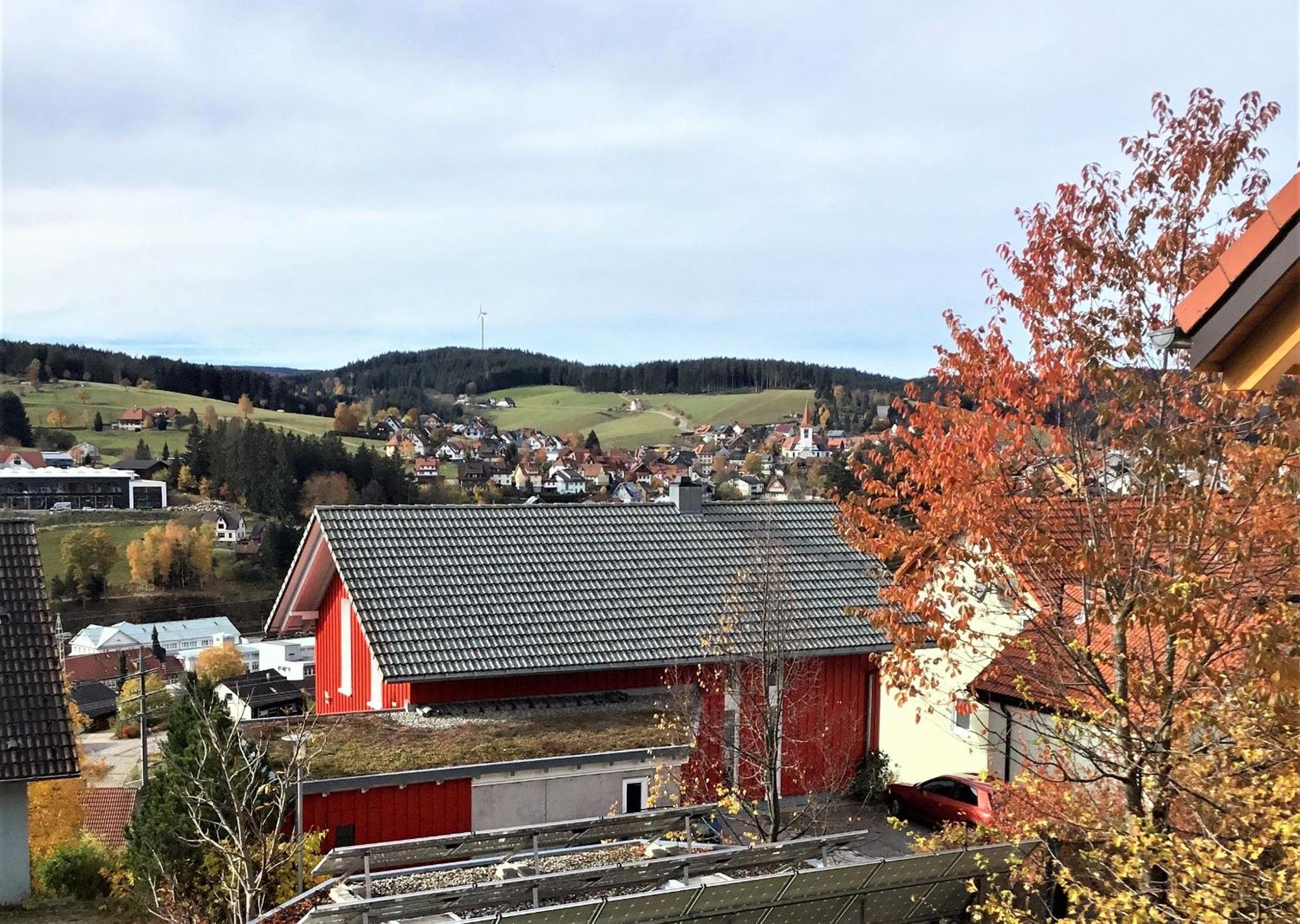 Alexander Feiss Apartment Schonach im Schwarzwald Exterior photo